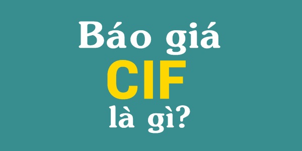 Báo giá CIF là gì?