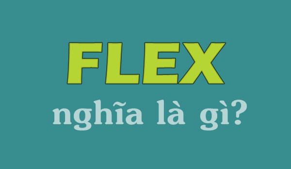 Flex nghĩa là gì?
